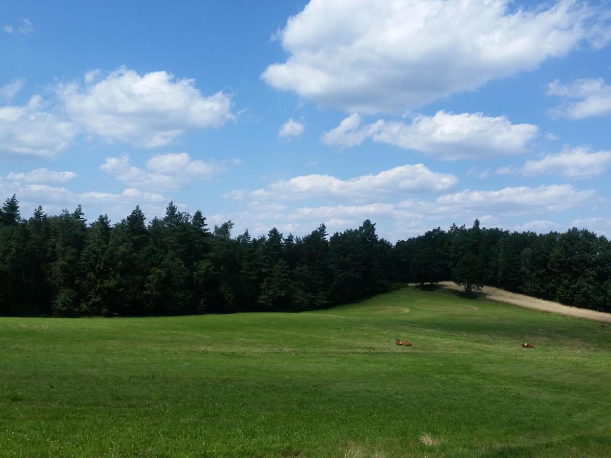 Bialy Domek Wisla Exterior photo